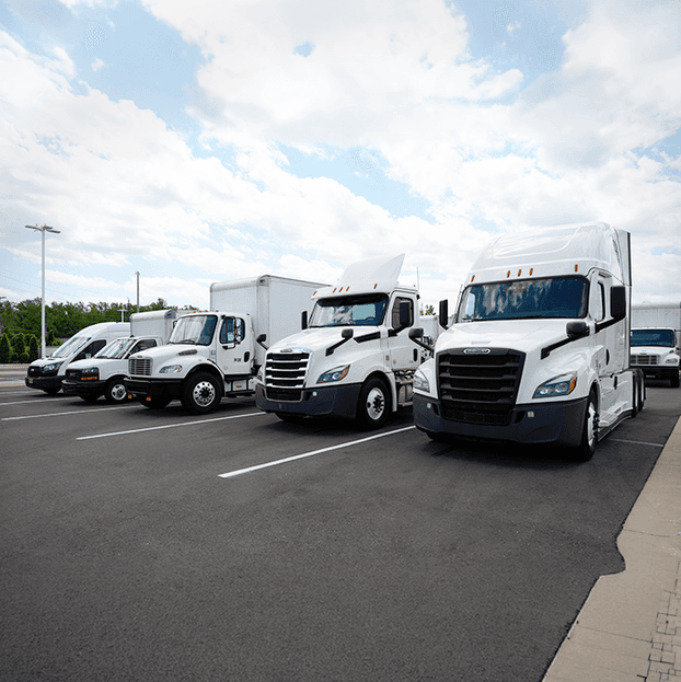 Various white trucks parked in a lot