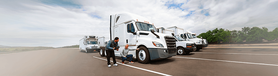 People in front of trucks